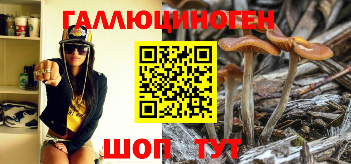 Галлюциногенные грибы Cubensis  Вход с VPN  Саранск 